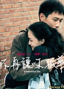 Красивая жизнь