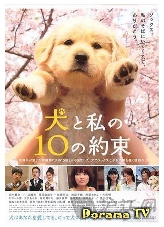 дорама Десять обещаний моей собаке. (10 Promises To My Dog: Inu to watashi no 10 no yakusoku) 09.05.12