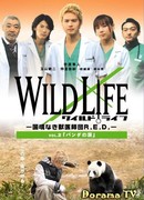 Дикая природа ~R.E.D.: ветеринары без границ~