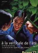 Вертикальный луч солнца