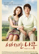 Одинокое дерево