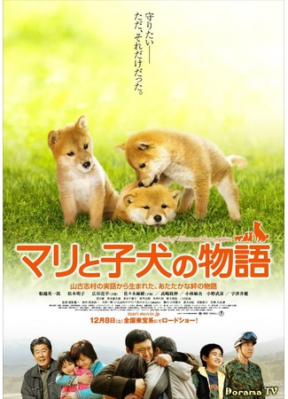 дорама История Мари и трёх щенков (A Tale Of Mari And Three Puppies: Mari to Koinu no Monogatari) 29.09.12