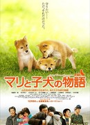 История Мари и трёх щенков