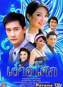 Цветок в тени