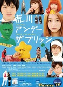 Под мостом над Аракавой