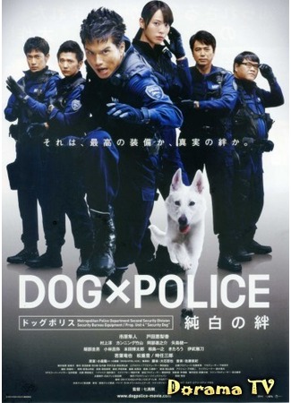 дорама Полицейский пёс: Собачья служба (DOG x POLICE: The K-9 Force) 23.12.12