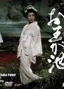 Кошка-призрак пруда Отама