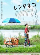 Кошка напрокат