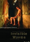 Невидимые волны