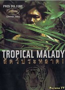 Тропическая лихорадка