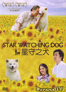 Пес, смотрящий на звезды