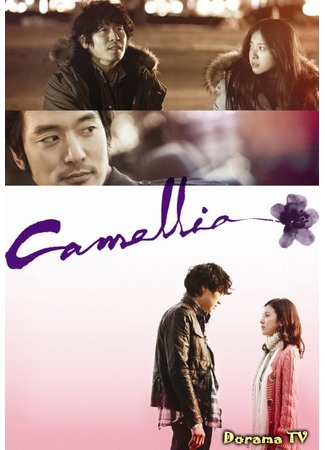 дорама Камелия: Проект &quot;Пусан&quot; (Camellia: Busan Project: 카멜리아) 23.03.13