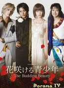 Цветущая юность