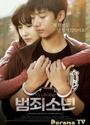 Несовершеннолетний преступник