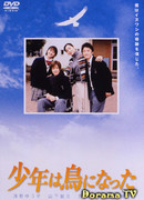 Мальчик, который стал птицей