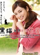 Черная кошка, цветочный магазин