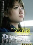 Документальный фильм о AKB48: Нет цветка без дождя