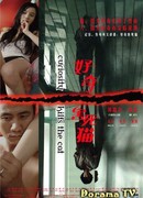 Любопытство сгубило кошку