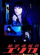 Секретный агент Эрика