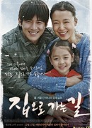 Возвращение домой