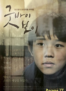 Прощай, мальчик