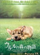 Чудесный лес Улулу