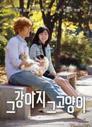 Кошки и собаки