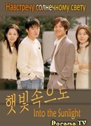 Навстречу солнечному свету