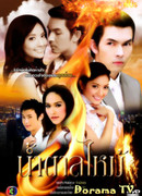 Горький вкус любви