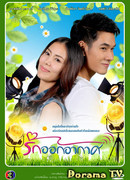 Любовь повсюду