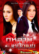 Розы над облаками