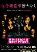 Ночное колесо обозрения