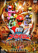 Команда пиратов Гокайджеры