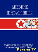 Дневник школьницы