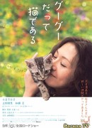 Кот по имени Гу-Гу