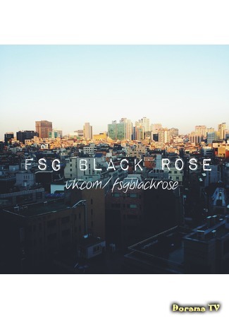 Переводчик Black Rose 14.02.15