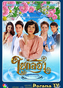 Паутина Калайи