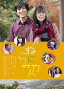 Кошка мандарин