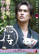 Кошка и самурай