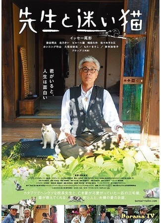 дорама Учитель и бродячий кот (Teacher And Stray Cat: Sensei to Mayoi Neko) 23.09.15