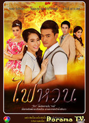 Вспыхнувшее пламя