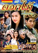 Цветок под покровом небес