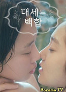 Лихорадка лилии