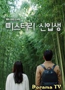 Таинственный новичок