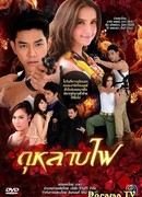 Пламенная роза