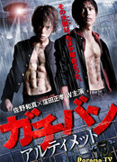 Гачибан. Высший