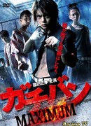 Гачибан. Максимум