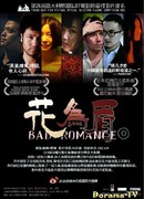 Неважный роман