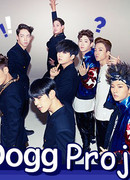 Проект ToppDogg