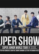 Супер Шоу 6 - мировое турне Super Junior в Сеуле
